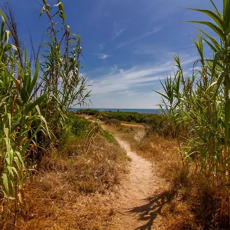 Beautiful In La Mata With Kitchen Apartment La Mata (Torrevieja)